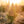 Presetpaket - 60 Presets
