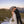 Dolomiten mit Sonja & Tobi – Dein exklusives After-Wedding-Abenteuer