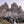 Dolomiten mit Sonja & Tobi – Dein exklusives After-Wedding-Abenteuer