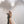 Dolomiten mit Sonja & Tobi – Dein exklusives After-Wedding-Abenteuer