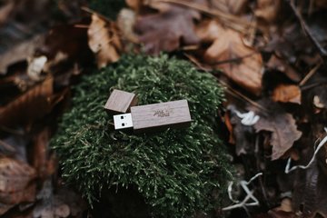 In the picture you can see leaves, moss and our USB stick in the color walnut with engraving and 16 GB memory